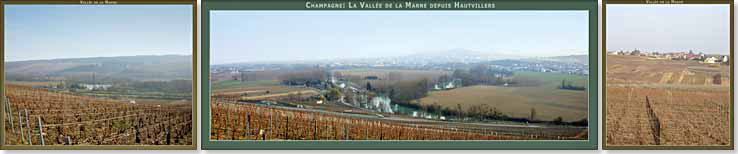 Vignoble de la Vallée de la Marne