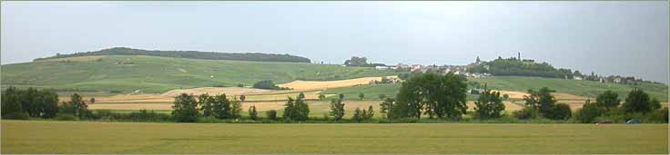 Vignoble près de Châtillon