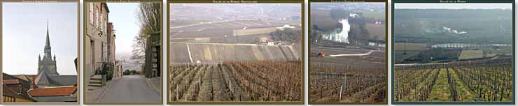 Vignoble de la Vallée de la Marne