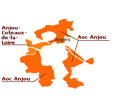 Carte des vins d'Anjou