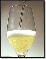 Mise en bouche Champagne