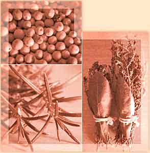 Herbes aromatiques