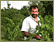 Blog de vigneron