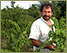 Blog de vigneron