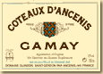 Etiquette Domaine Guindon - Gamay