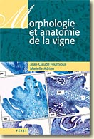 Couverture Morphologie et anatomie de la vigne de Jean-Claude Fournioux et Marielle Adrian 
