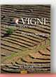 Vignes en Languedoc-Roussillon