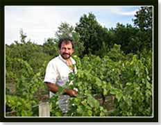 Didier Michaud dans ses vignes