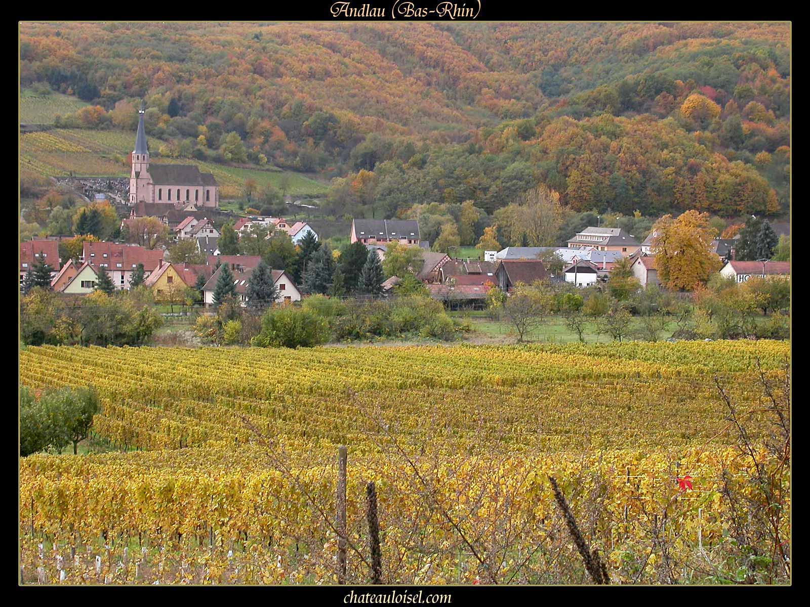 Photos de vignes d'Alsace