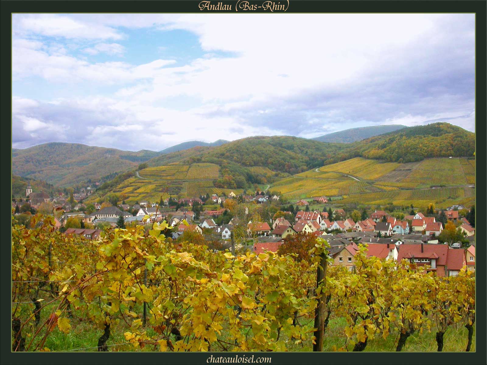 Photos de vignes d'Alsace