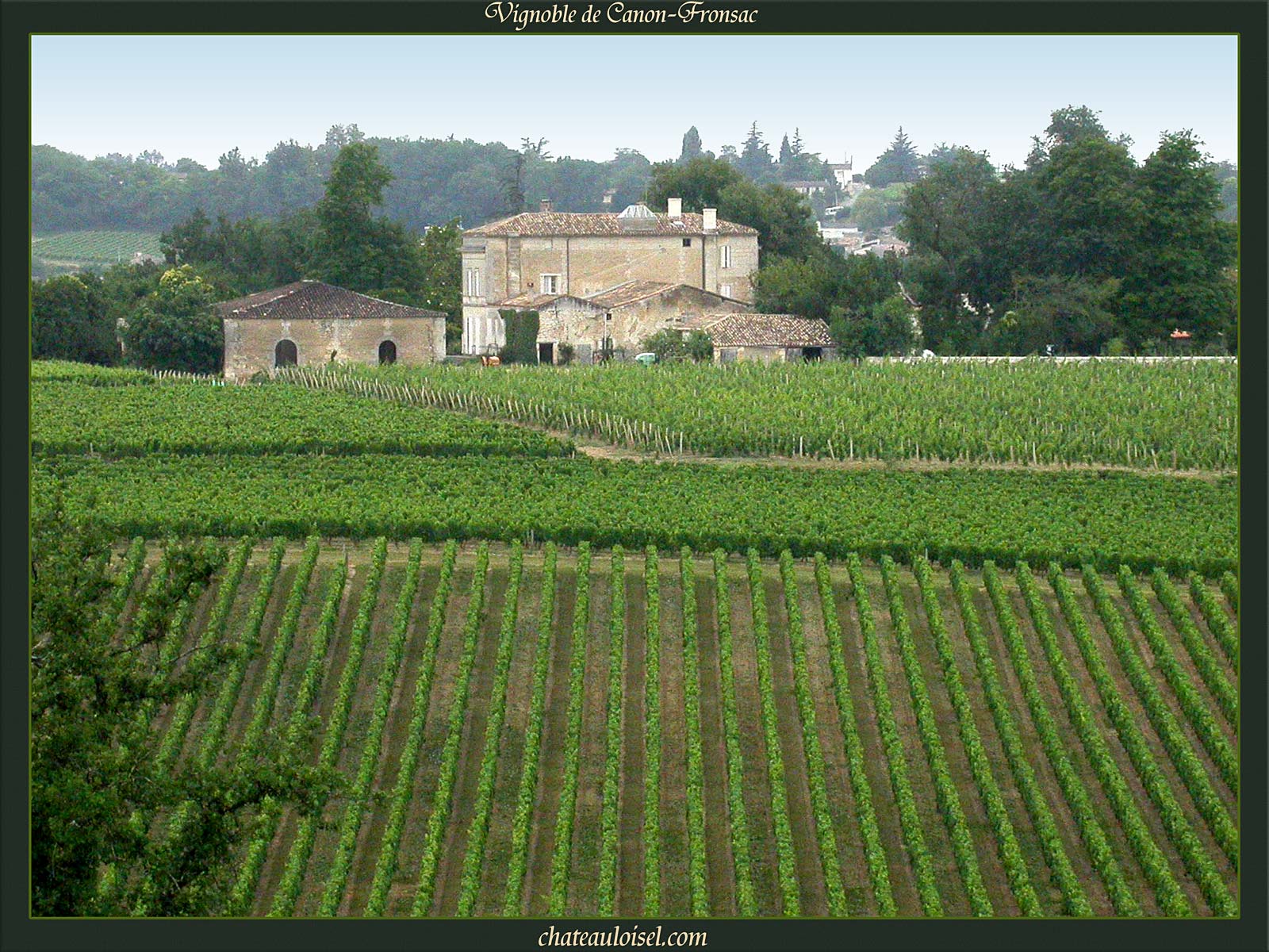 Fronsac et Canon-Fronsac