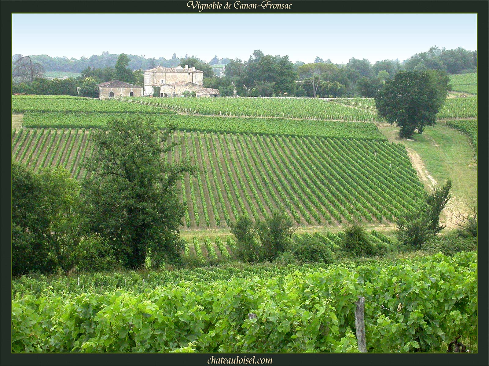 Fronsac et Canon-Fronsac