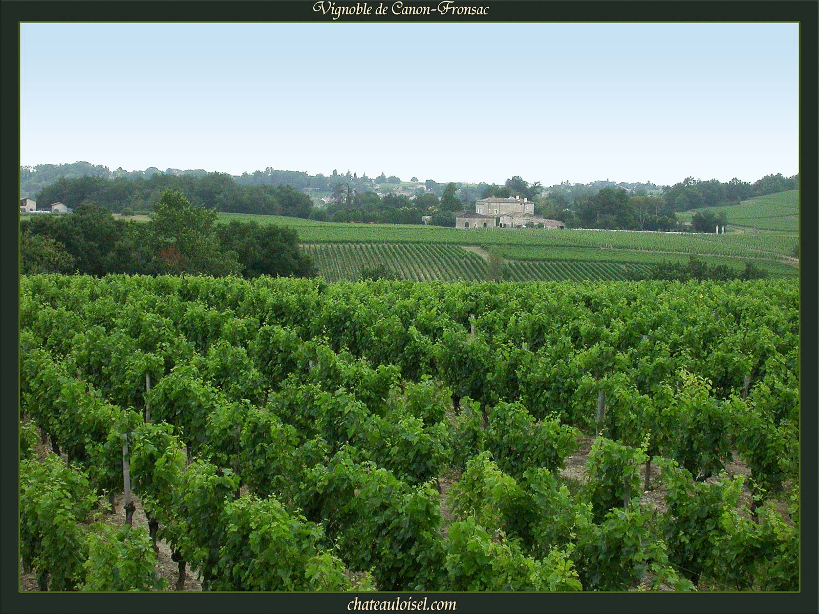 Fronsac et Canon-Fronsac