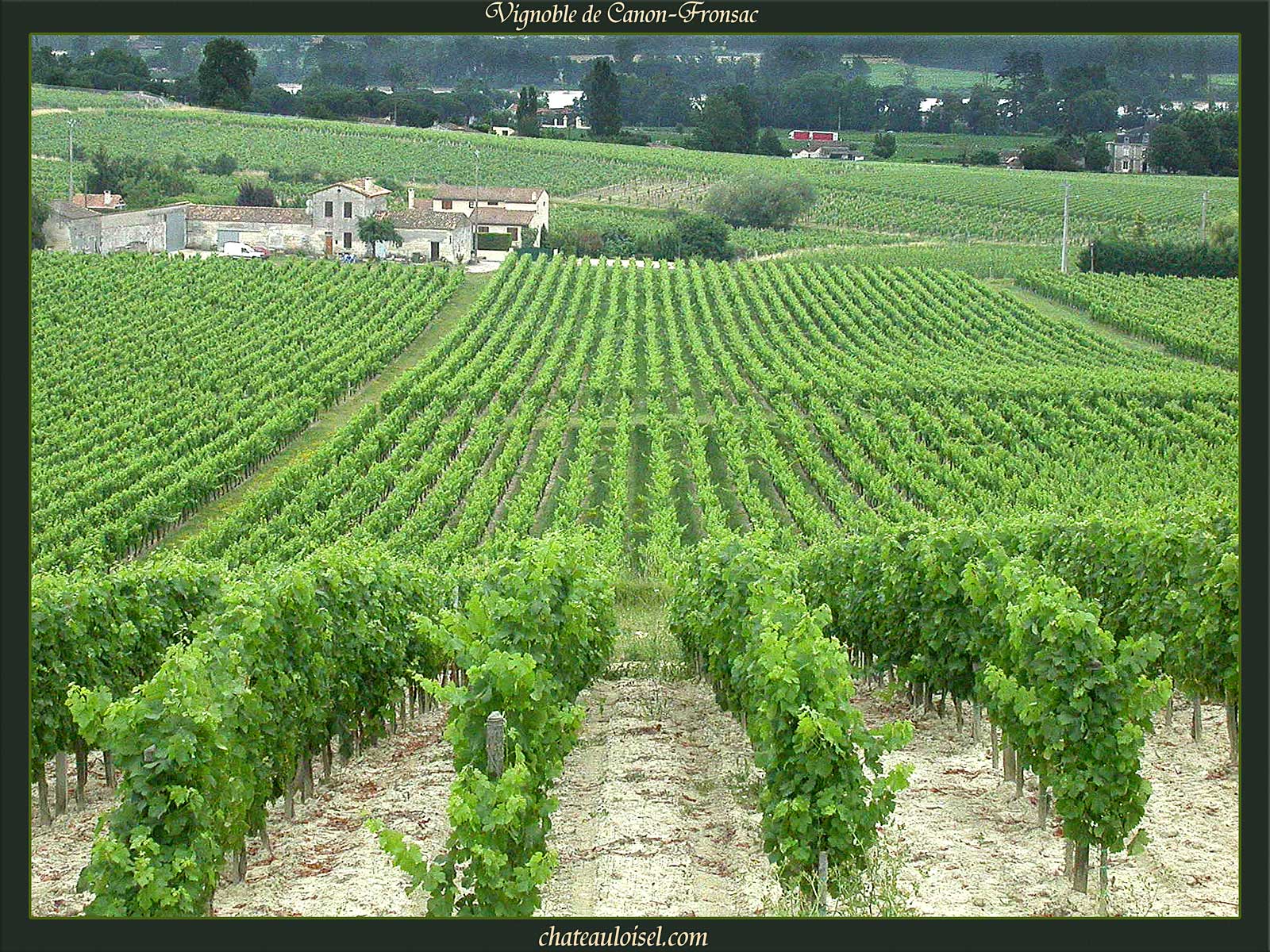 Fronsac et Canon-Fronsac