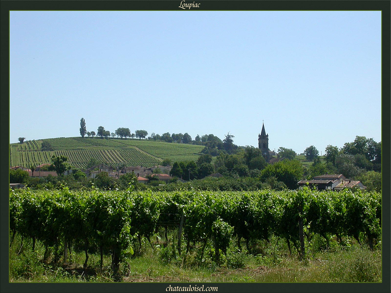 Loupiac et Sainte-Croix-du-Mont