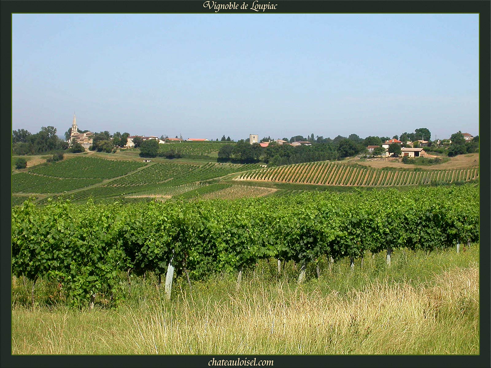 Loupiac et Sainte-Croix-du-Mont