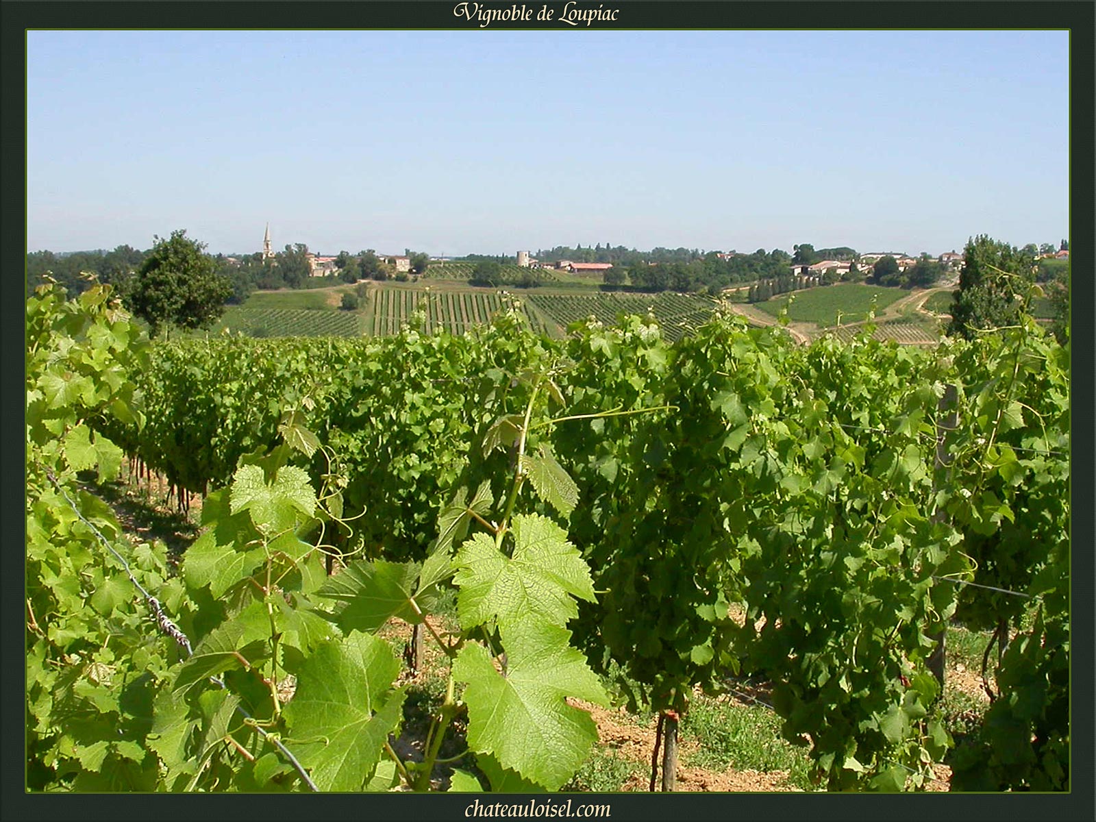 Loupiac et Sainte-Croix-du-Mont