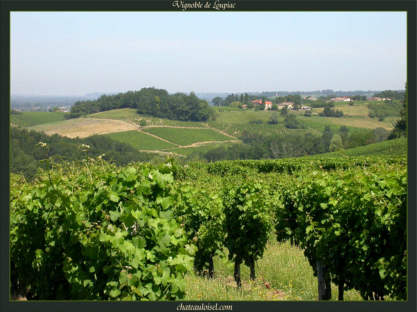 Loupiac et Sainte-Croix-du-Mont