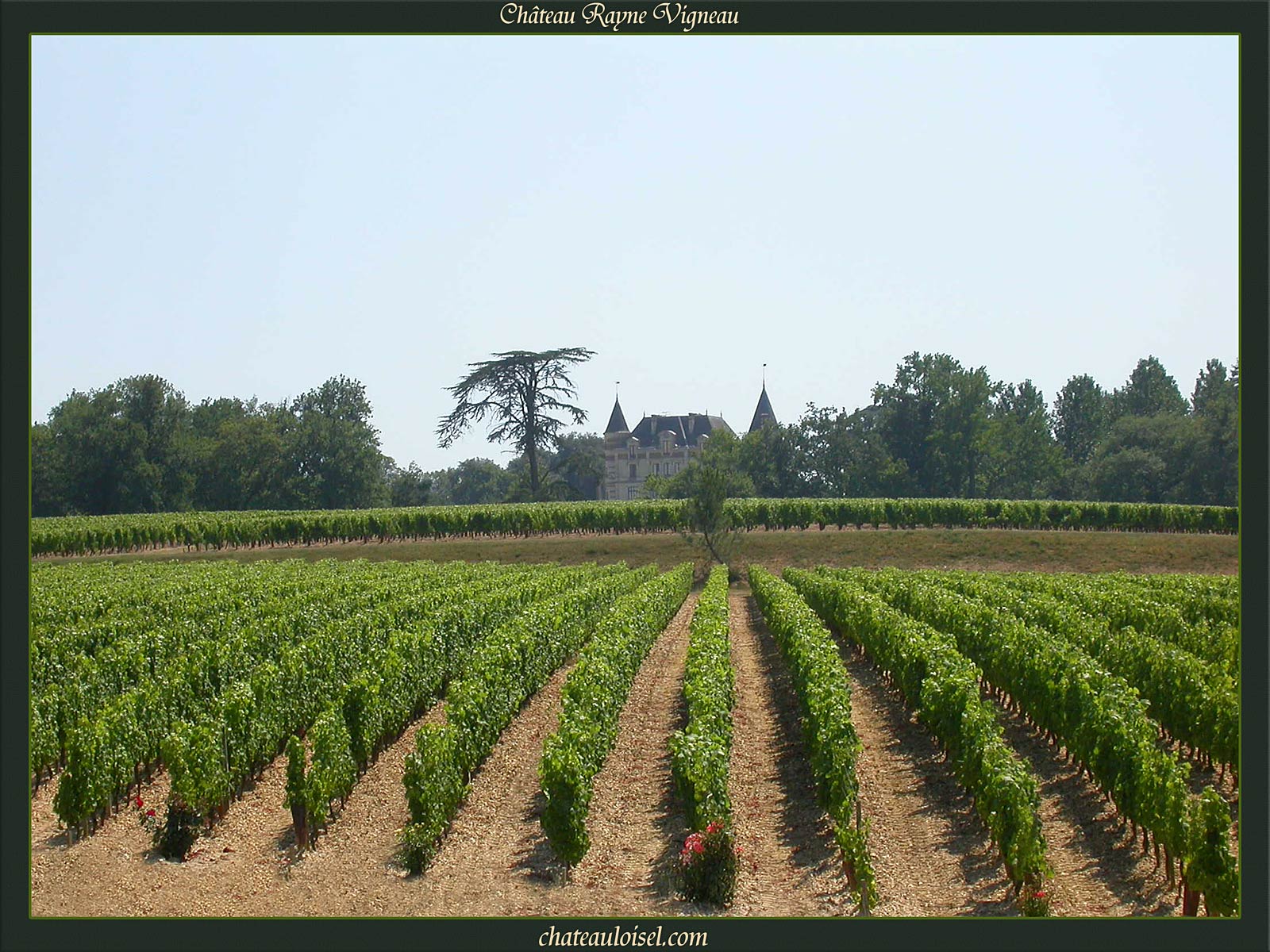 Château de Rayne-Vigneau