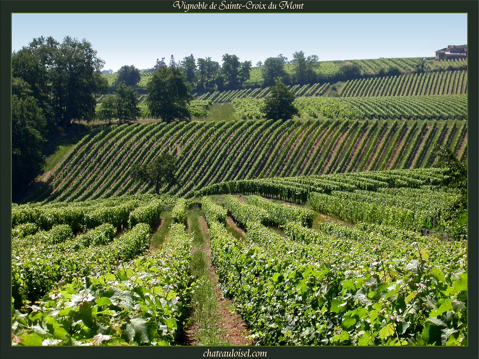 Loupiac et Sainte-Croix-du-Mont