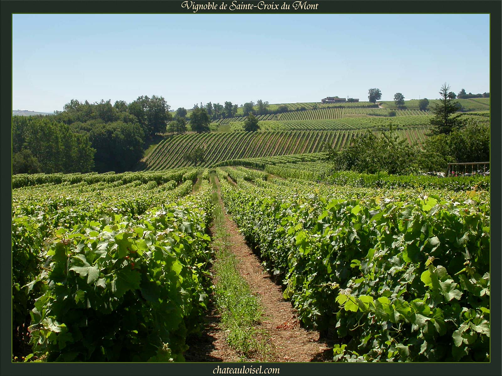 Loupiac et Sainte-Croix-du-Mont