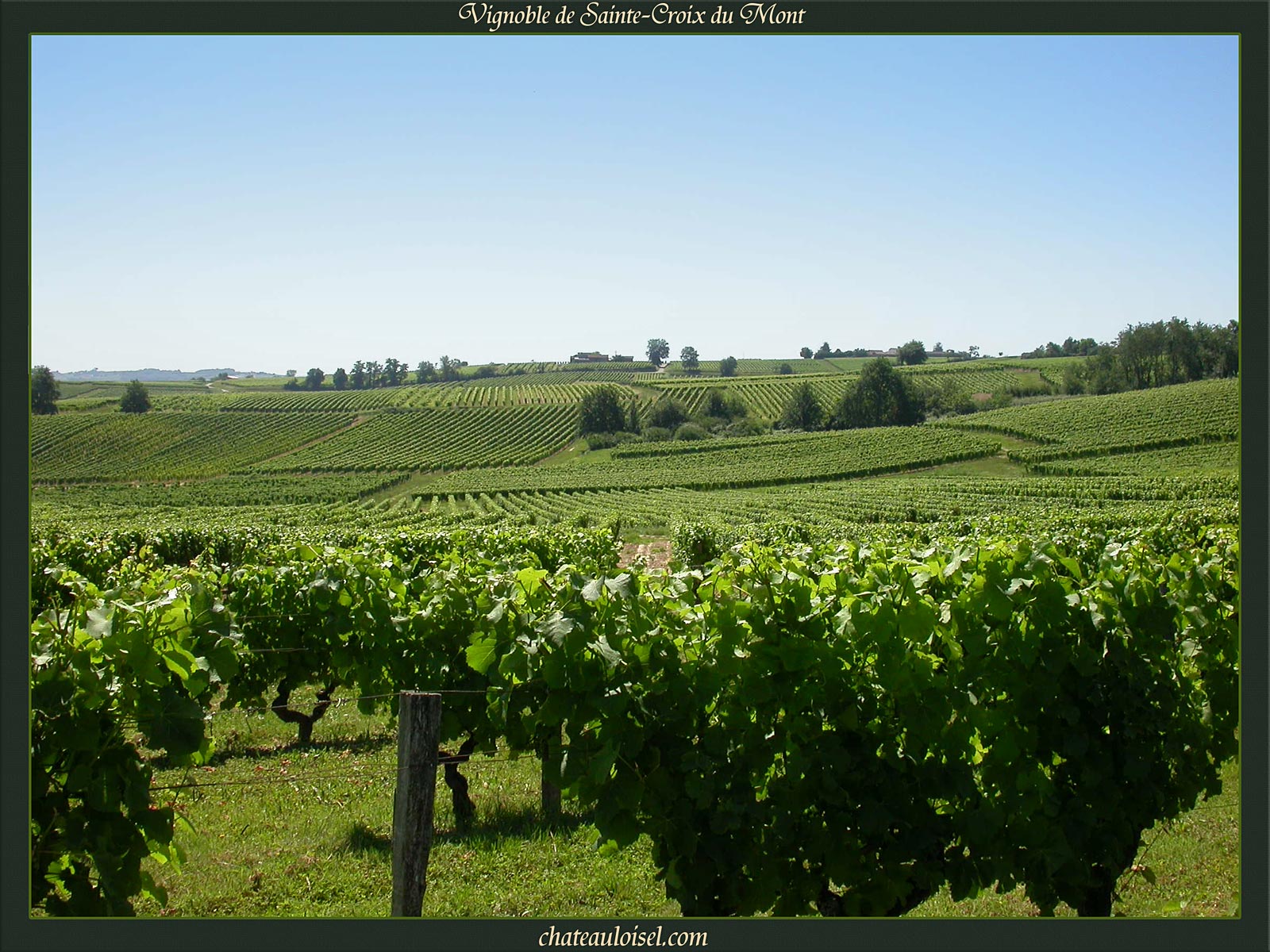 Loupiac et Sainte-Croix-du-Mont