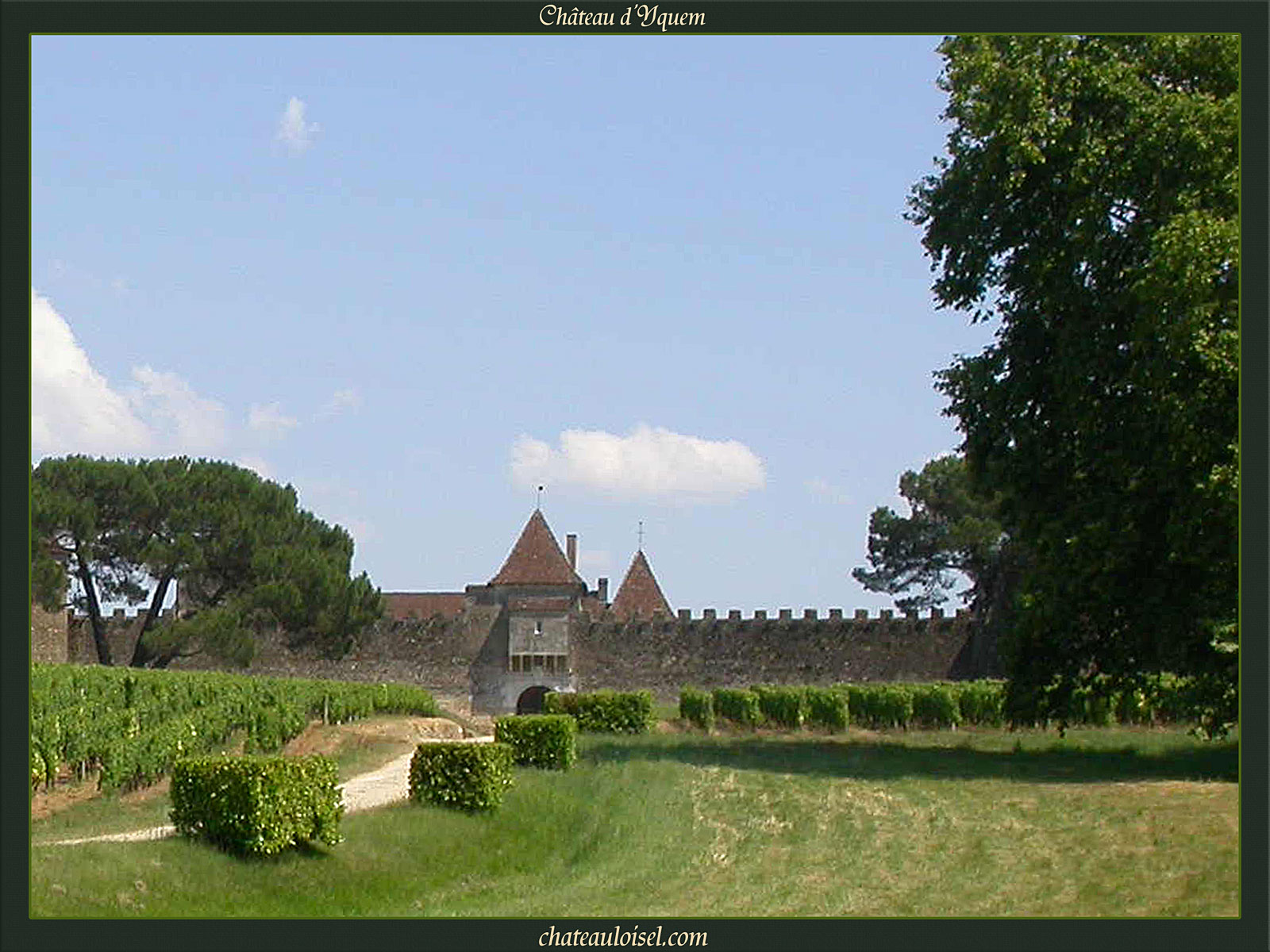 Château d'Yquem