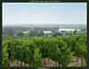 La Dordogne vue des vignes de Canon-Fronsac