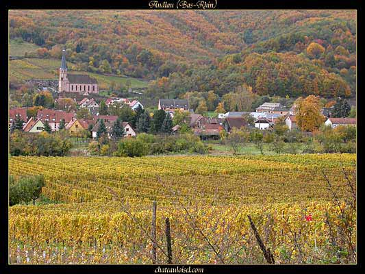 Photos de vignes d'Alsace