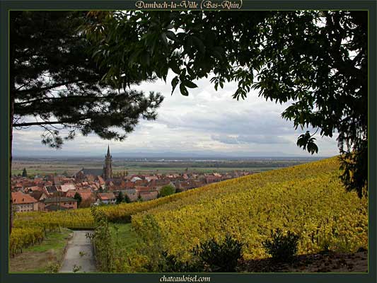 Photos de vignes d'Alsace