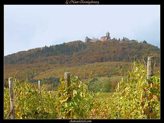 Photos de vignes d'Alsace