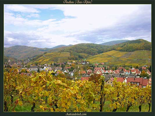 Photos de vignes d'Alsace