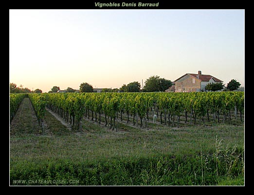 Vignobles Denis Barraud