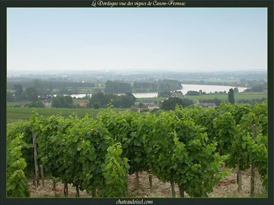 Fronsac et Canon-Fronsac