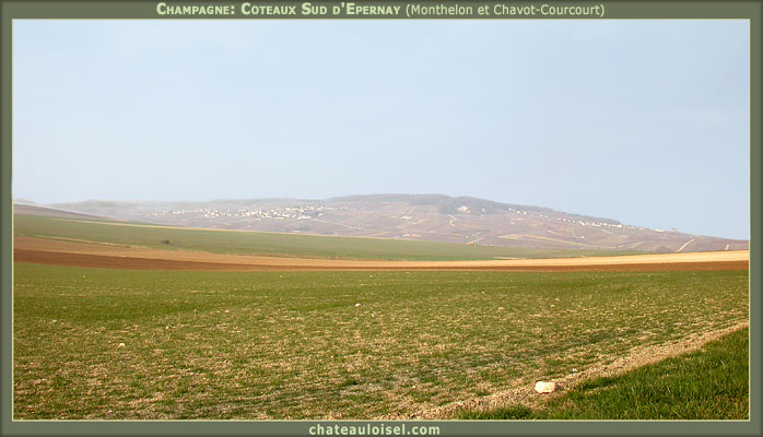 Terroirs de Champagne