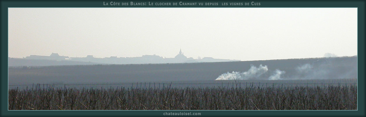 Champagne: La Côte des Blancs