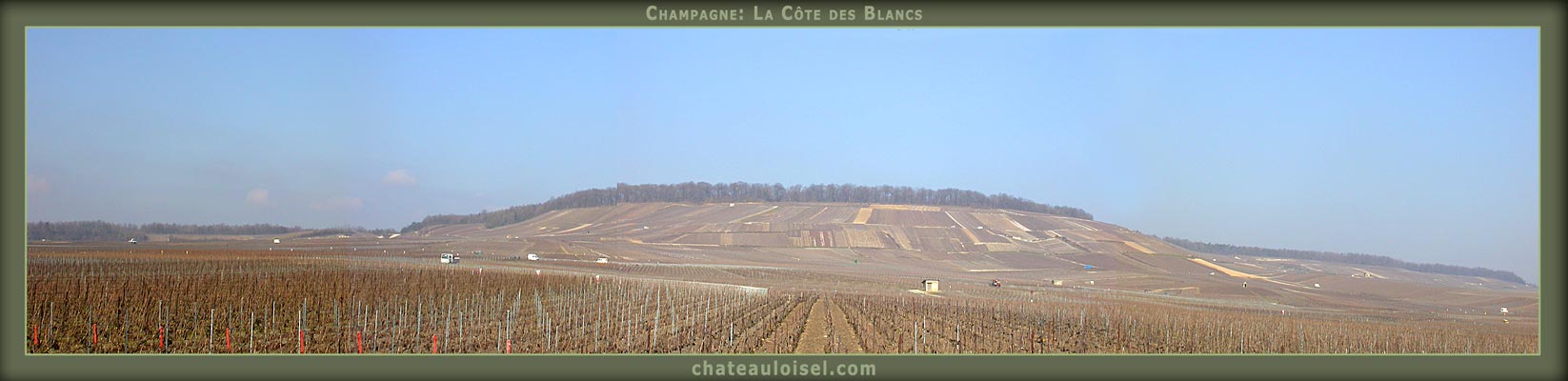 Champagne: La Côte des Blancs