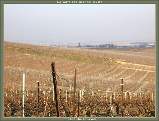 Champagne: La Côte des Blancs