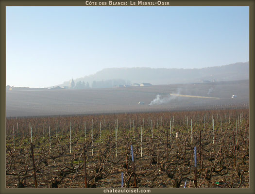 Champagne: La Côte des Blancs