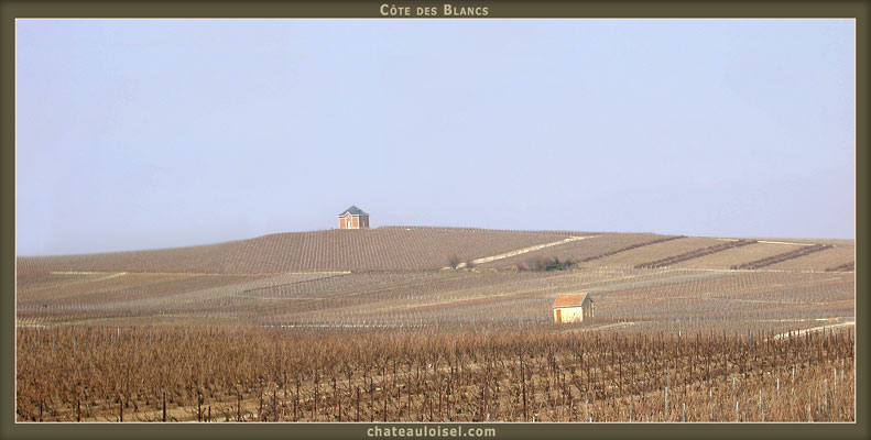 Champagne: La Côte des Blancs