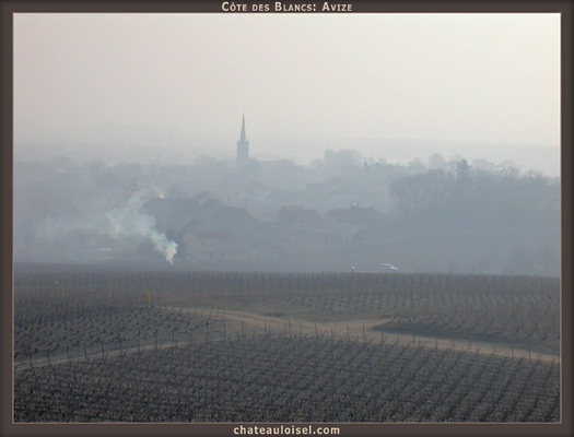 Champagne: La Côte des Blancs