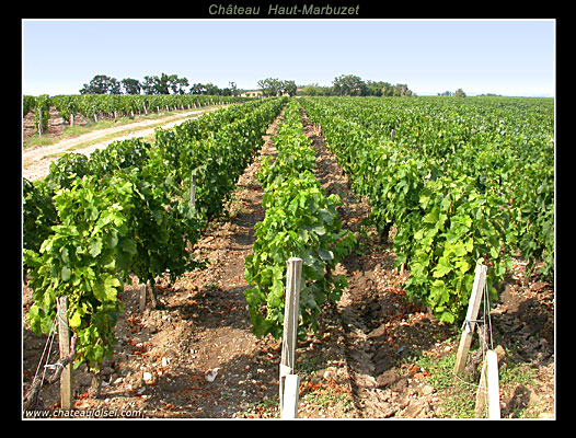 Château Haut-Marbuzet