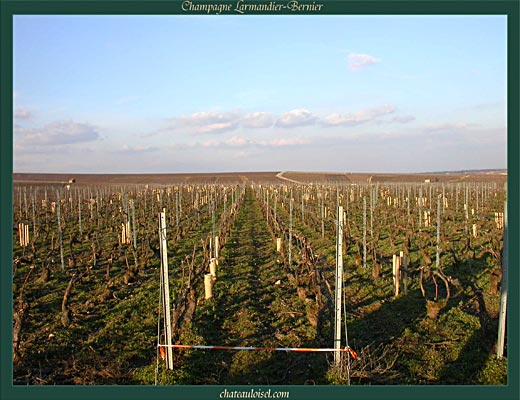 Champagne Larmandier-Bernier