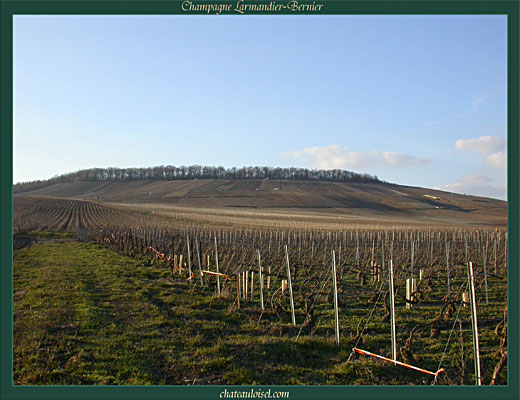 Champagne Larmandier-Bernier