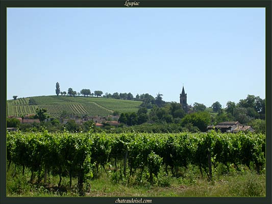 Loupiac et Sainte-Croix-du-Mont