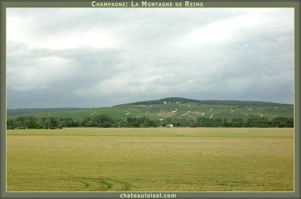 Terroirs de Champagne