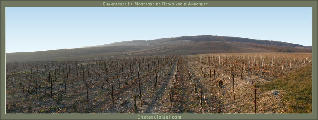 Champagne: La Montagne de Reims