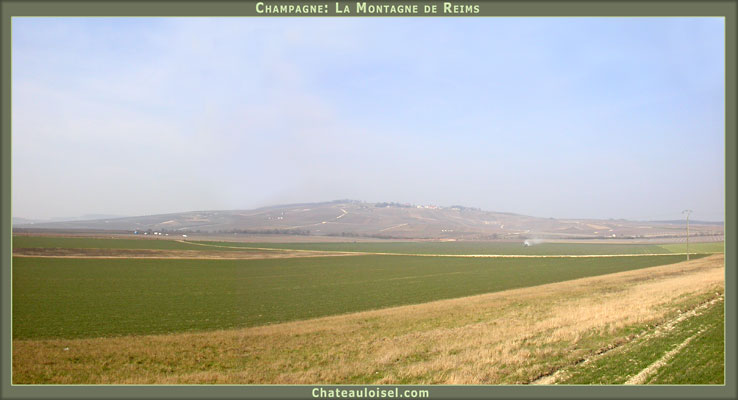 Champagne: La Montagne de Reims