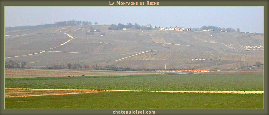 Champagne: La Montagne de Reims