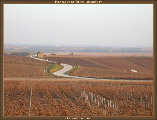 Champagne: La Montagne de Reims